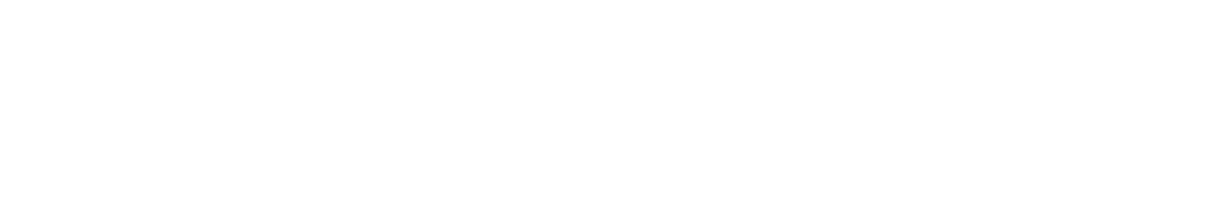 avispl WHITE logo no R